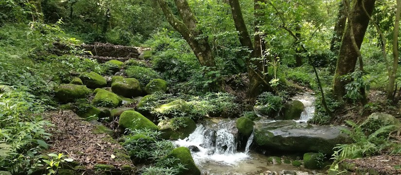 Shivapuri Nagarjun National Park